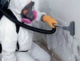 Best Mold Damage Restoration in Rolling Hills, CA